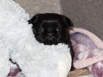 ������� , ����������� �������, ������� ������, ������ ������, �������� ������, �, �,  16, 09, 2019�,  �������, �������, ��������,  ��� ���������� !� ������� �������� � ������������