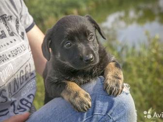 ������� ������ ���� ������� � ������,  ��� ��� ���� ������? � ����� ����� �� ������������ ������ ����� ����� ����� ����? ������!������� ����� �������, ������, ��������, � ������������