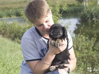 ������� ������ ���� ������� � ������,  ��� ��� ���� ������? � ����� ����� �� ������������ ������ ����� ����� ����� ����? ������!������� ����� �������, ������, ��������, � ������������