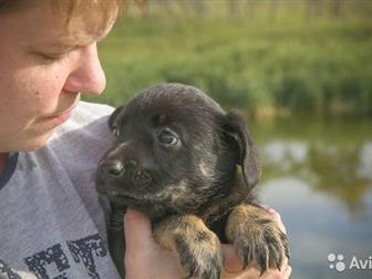 ������� ������ ���� ������� � ������,  ��� ��� ���� ������? � ����� ����� �� ������������ ������ ����� ����� ����� ����? ������!������� ����� �������, ������, ��������, � ������������