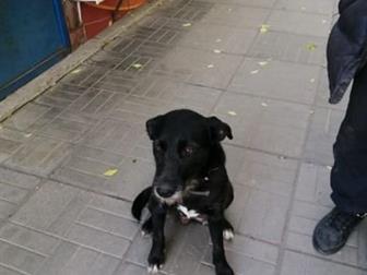 ������ ���� ������������� ������, , ,  �������� �� �������� ������ ������� ������� �� ����,  ������ ��� ������� � ��� ������� ������������� �� ������� ��������, � ������������