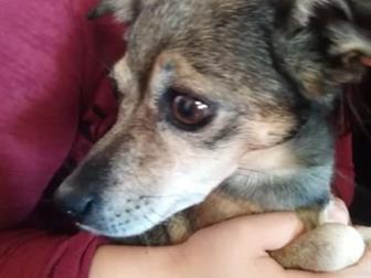 � ����������� ������ ������� ��������� �������,  �������, �����������,  �����, ��� ���� ��������,  ��������, �����������, ����� �������, �� ������ ������ � ������, � ������������