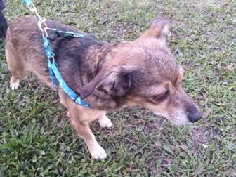 � ����������� ������ ������� ��������� �������,  �������, �����������,  �����, ��� ���� ��������,  ��������, �����������, ����� �������, �� ������ ������ � ������, � ������������