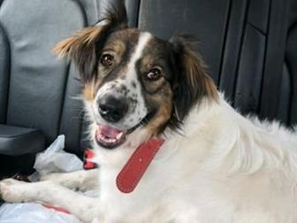 11 ������� , �������������, ������� , ����� ���������� ����� , ������� ������� � ����� ��� ���� ����,  ��� ����� ��� ��� �� ������ ����� �� � ������,  �������� � ������������