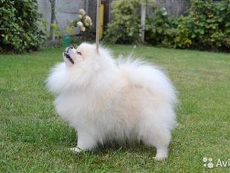 ����� ������������� ������� ������! ���������� ����� �������� �����,  ������������ ����������� ������ ��� �����,  ���� 22 �� � �����,  ����� ��������� �����,  ����������� � ������������