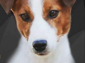 ������������ ��� ���������� ������������� �������������� ������,  ����� ����� ������������� (��������� ������ ������, ���������, ����������),   ���������� ��������, � ������������