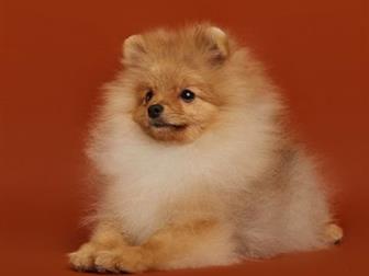 �������������� �����, ����� �������� �� ������! ����� ��������, ���������,  ��������� ������, ����� ������, ������� ������� ���,  �� ���� ������ ��� ����� ������� � ������������