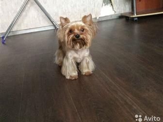 � ����� � ���������������� ��������� ���������: ��������� ������, 6 ���, ����� (���� 1,2),  � �������� �����������,  ��� JERICHO DU GALOP DU GLOBE, ������ �����, � ������������