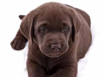 ���� ������� ����� ��������� ��������� � ����������� , ������, ��������� ,��������, �������� 30, 10 2019,  � �������� ����� ������ � 20 ������� , ���������� �������� � ������������