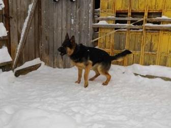    - 10 ,  ,  ,  ,    (  ),  
