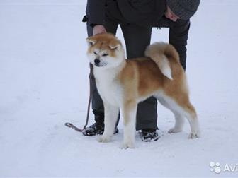     ,   - 4 ,   ,  ,  !   !!!  