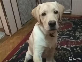   6 , ,  ,     ,     ,   ,    ,  