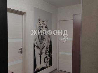 1 ,    ,  ,   : 36, 80 , ,  
 
     ,     ,  ,  5-  