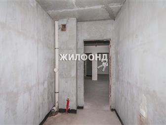 2 ,    ,  ,   : 65, 00 , ,  
 
        -     ,    
