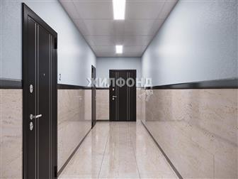 1 ,    ,  ,   : 32, 21 , ,  
 
  ,        - ,  