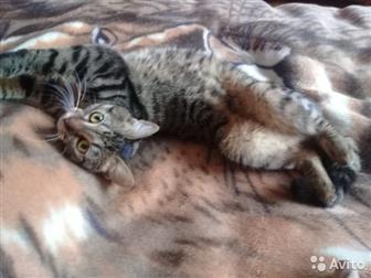   1,5-2  ,   ,  ,    ,             