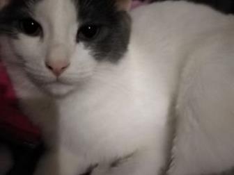      ,         ,     4-5 ,           