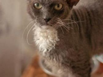  -   !    !  ,      , , , , ?    ,  