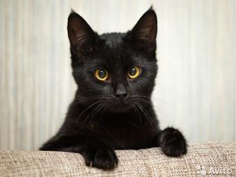     -!  7 ,   ,  ,       ,         