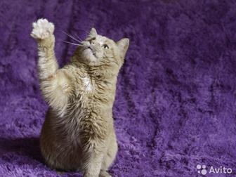  ,    6 ,  ,   ,  , ,   ,     -      