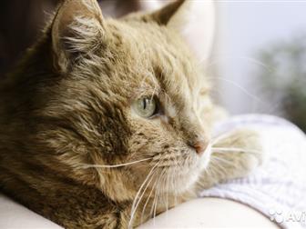  ,    6 ,  ,   ,  , ,   ,     -      