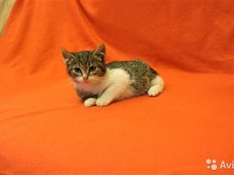   ,    ,    ,      ,      ,  