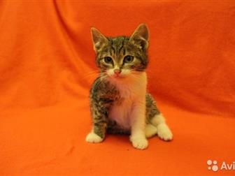   ,    ,    ,      ,      ,  