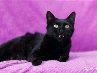      ,        !    ,    ,  