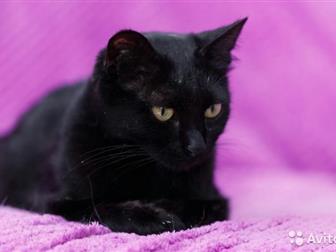      ,        !    ,    ,  