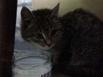       ,   3 ,  ,   ,,   ,     ,  