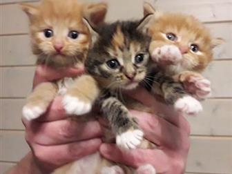 , , ,       ,  , , , ,   ?     ,     