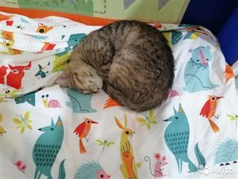  , ,   ,   4-5 ,      ,  