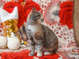  -    - , !)  ) 5 ,,  )   ,    ,  