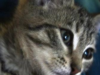 ??      ??  ,   2, 5 !   ,  ,  ,     