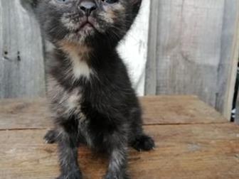  6 ,   ,  , ,   ,     !  