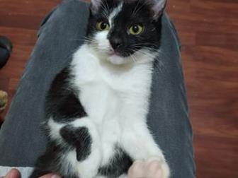    ,   ,   3-4 , ,   ,   ,  