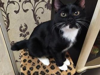     ,   4  - ,   ,    ,      ,   ,  