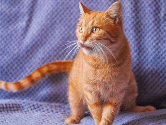      !   ,  ,   ,   ,    ,     