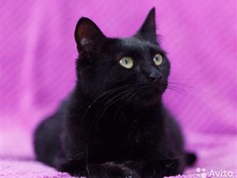        ,     ,  , ,   ,    ,     ,  