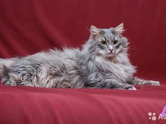  ,     !  2 , ,  ,  ,  ,  