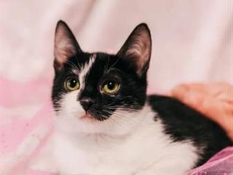    ,   ,    ,  , ,    ,  ,    5,  