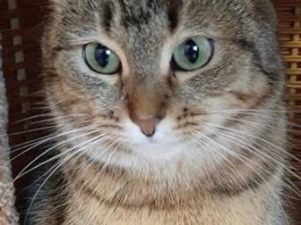  -     ,   , , ,     ,     ,   ,  