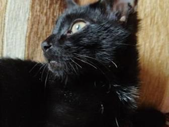 , , ,  , - -    ,     ,  