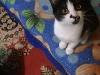  ,    !!!!,   , , , , , , , ,            !!!!!,  