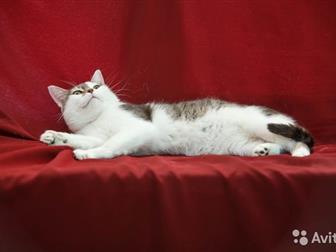    ,    ,   !  4 , , , (  ),   ,  ,  