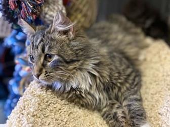       ,  3-3,5,    ,   ,        ??  