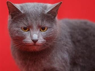  -  - ,  !   ,   ?   ,    ,    ,   