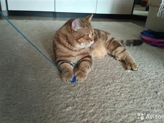 !, !     ,   ,  ,,,  ,  !    