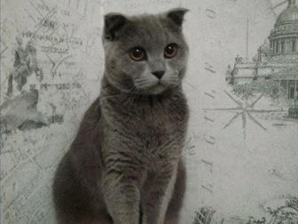  ! ,  1 , ,  Ѹ,             ,   ,    