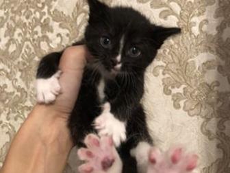    , 4  ??  -   !)  